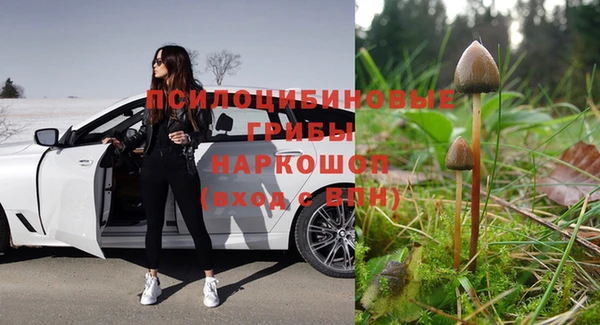 первитин Балахна
